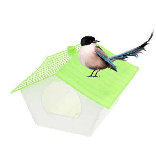 Parakeet nest box - parakeet,