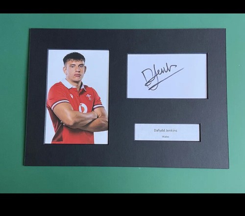 Dafydd jenkins proof - dafydd, wales