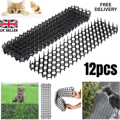 Pcs cat scat mat - mat, spike