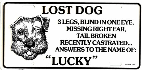 Lost dog metal license plate - metal,