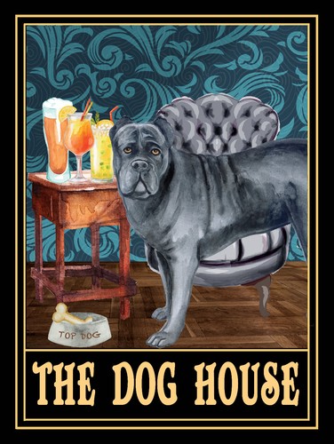 Cane corso the dog - corso,