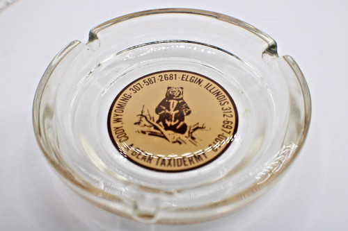 Ashtray bear taxidermy - bear,