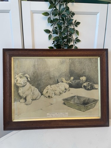 Antique cecil aldin dog print - cecil,