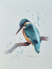 Kingfisher Original