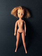 Pedigree Sindy 1979-81 short