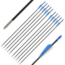 Archery arrows fibreglass - arrows,
