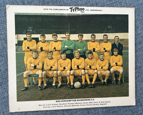 Wolverhampton wanders wolves - wanders,