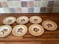 Johnson Brothers Fruit Sampler