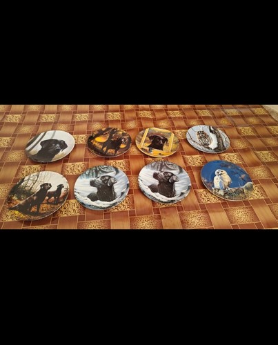 Set plates wedgewood - of,