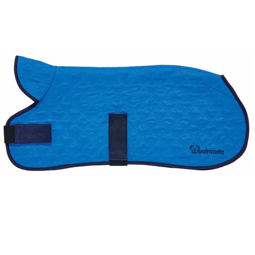 Outdoor dog coats - dog,