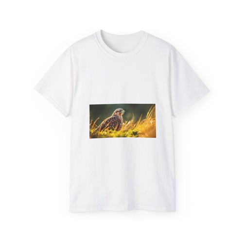 Bird eagle hawk beak - eagle,