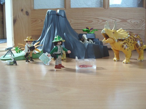 Playmobil 100 complete - 100%, set
