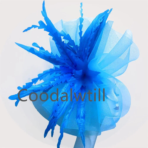 Kentucky derby big - derby, fascinator