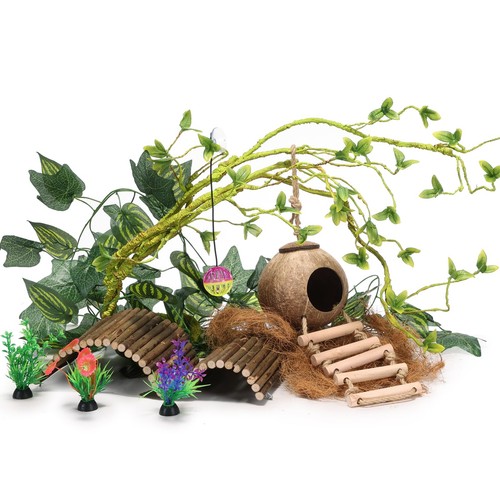 Crested gecko tank accessories - crested,