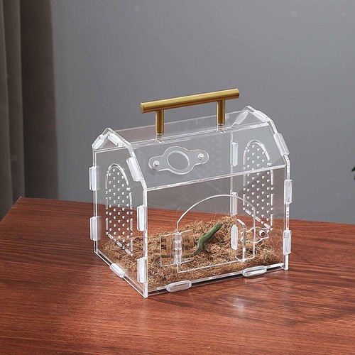 Reptile feeding box - reptile,