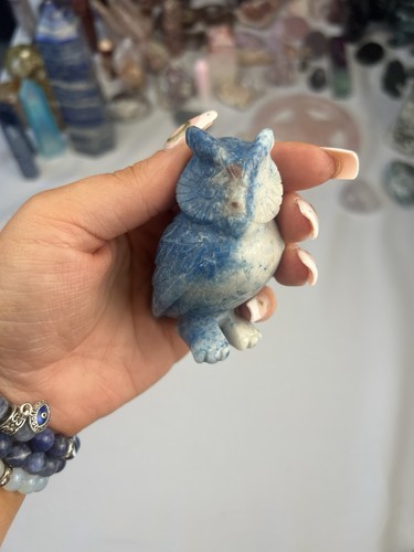 Trolleite owl beautiful high - trolleite,