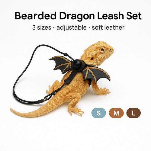 Bearded dragon leash - dragon, harness