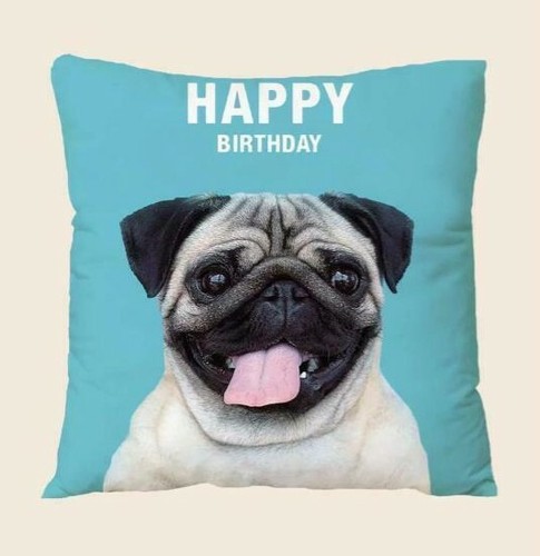 New pug dog - pug,