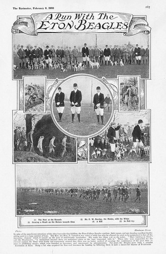 Hunting run with the - hunting,