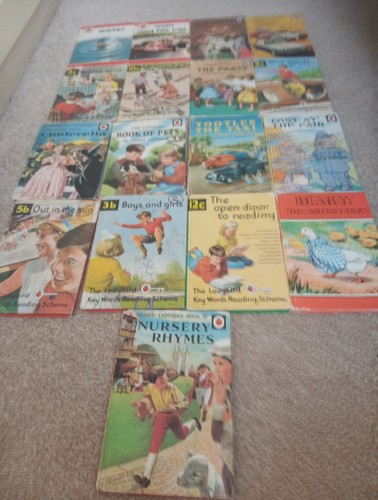 Ladybird books series - books,