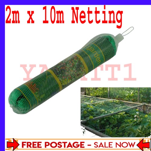 10m garden bean and pea - 2m,