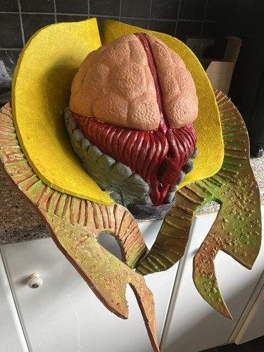 Who scale prop head - dr,