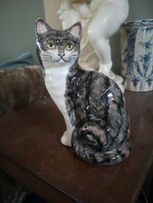 Black Brown and grey tabby cat