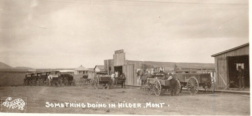 Hilger frontier town horse - mt,