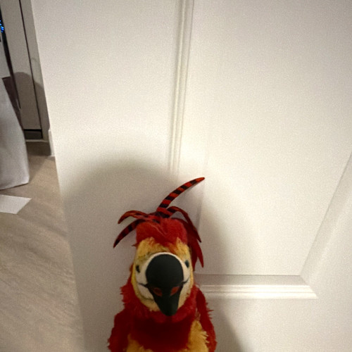 Fawkes harry potter - fawkes,