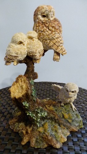 Border fine arts watchful - border,