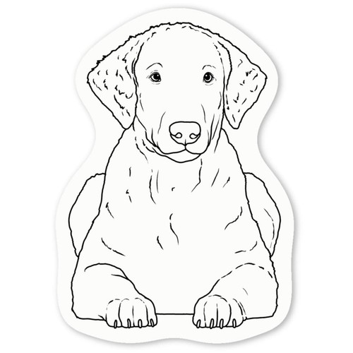 Curly coated retriever - coated, decal