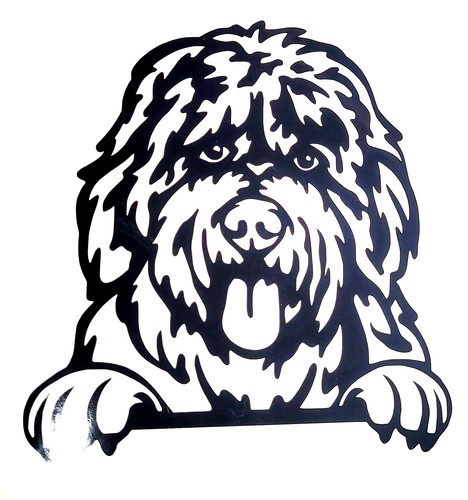 Bobtail old english dog - 1x,