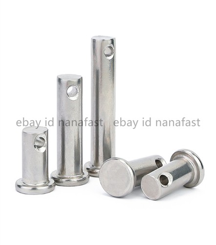 304 stainless steel - stainless,