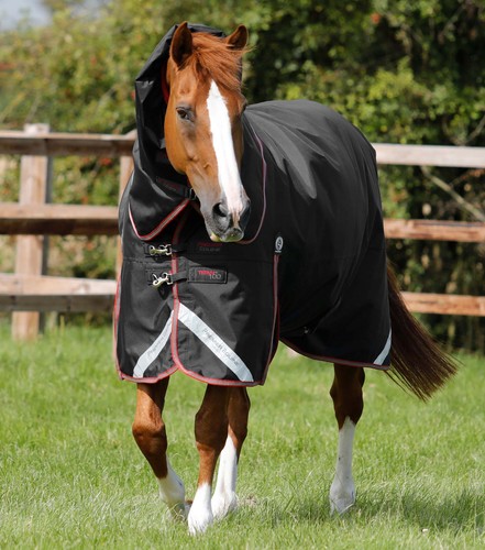 Premier equine titan - premier,