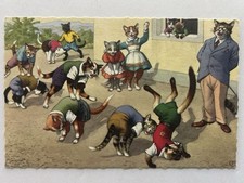 Dressed Cats Vintage Postcard