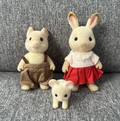 Chocolate rabbit mouse - &,