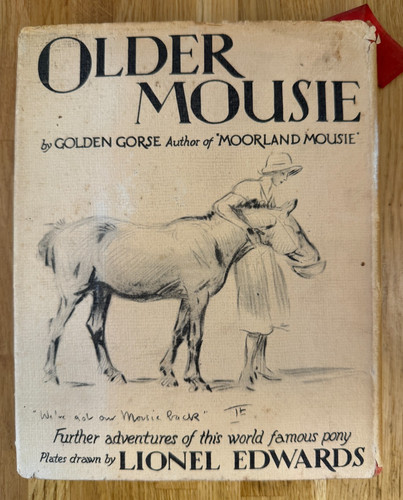 Older mousie golden gorse - golden,