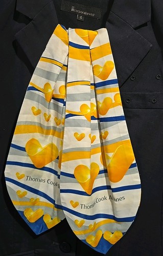 Thomas cook cabin - cook,