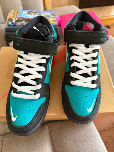 Nike men dunk low top - men's,