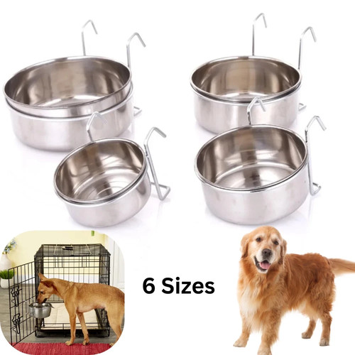 Dog puppy cat - puppy, animal