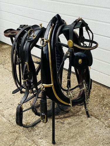 Huskisson horse pony leather - horse,