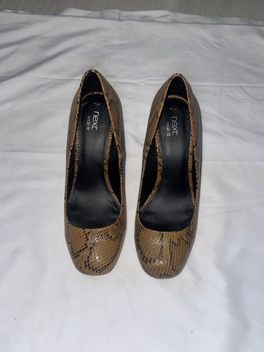 Tan snakeskin print kitten