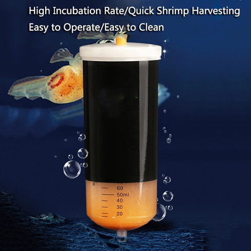 Artimia brine egg - brine,
