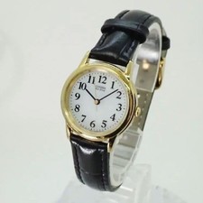 CITIZEN Eco-Drive Solar Watch