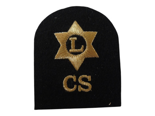 Royal navy logistics - navy, branch