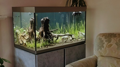 Fluval siena aquarium set - siena,