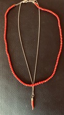 Coral Necklace and Red Chilli