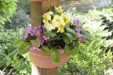 Neat Ideas Pipe & Post Planters - Choose your Colour - Pack of 2 Great Gift