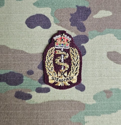 Medical regiment aabct - 16,