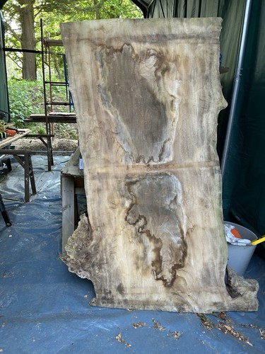 Beautiful english elm - beautiful, slab